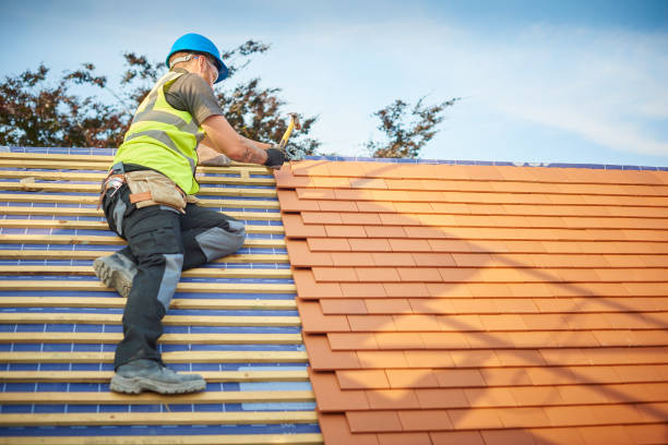 Best Sheet Metal Roofing  in Fort Sumner, NM